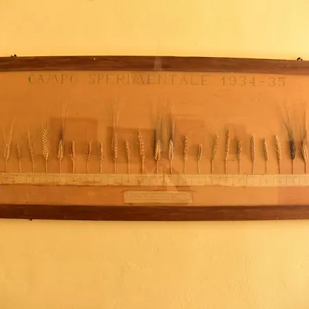 Antico Feudo San Giorgio Alloggio per agriturismo