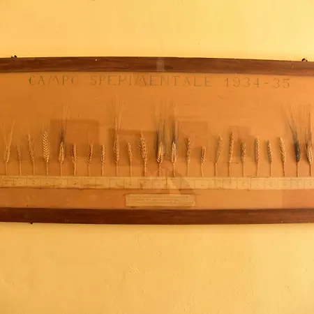 Antico Feudo San Giorgio Farm stay