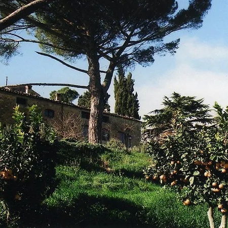 Antico Feudo San Giorgio *