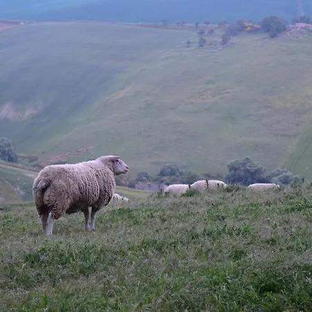 Antico Feudo San Giorgio * 波利齐杰内罗萨