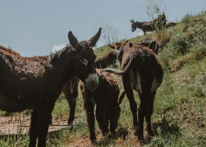 Antico Feudo San Giorgio