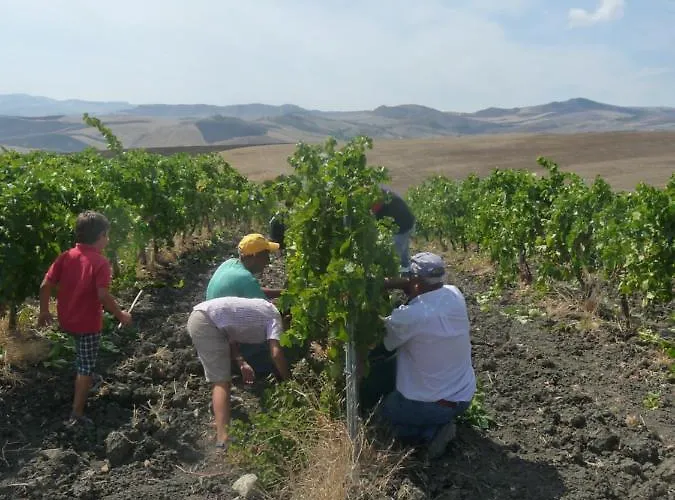 Antico Feudo San Giorgio *