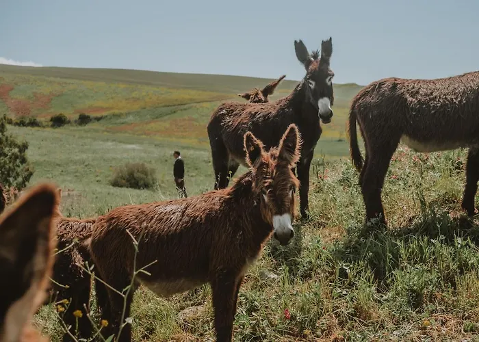 Antico Feudo San Giorgio