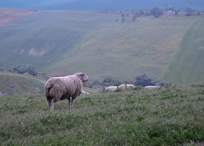 Antico Feudo San Giorgio * 波利齐杰内罗萨