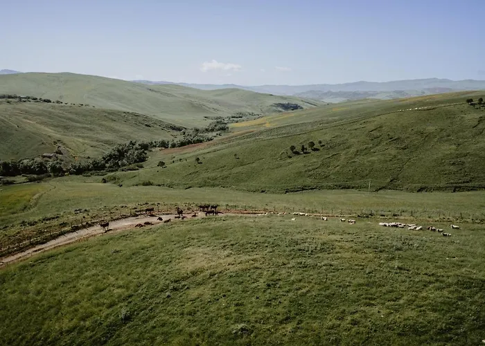 Antico Feudo San Giorgio *