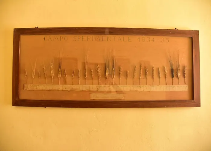 Antico Feudo San Giorgio 农家乐