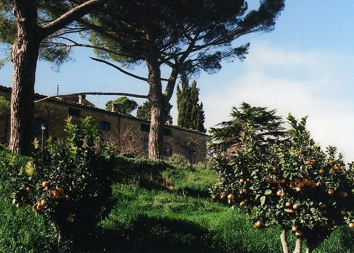 Antico Feudo San Giorgio *