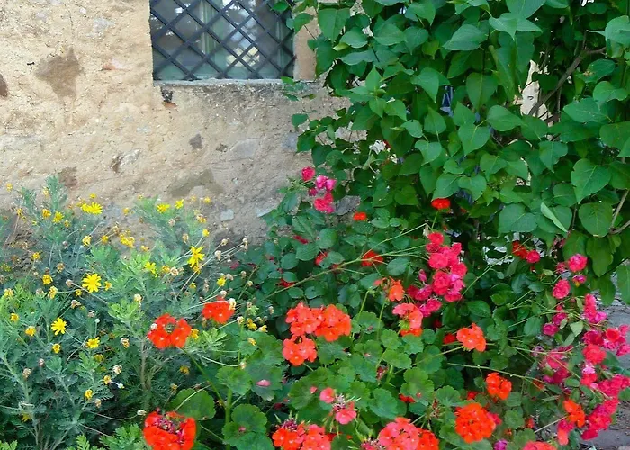 Antico Feudo San Giorgio * 波利齐杰内罗萨