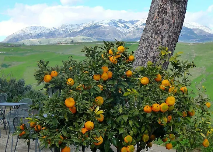 Antico Feudo San Giorgio * 波利齐杰内罗萨